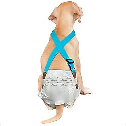Paw Inspired Dog Diaper Suspenders, Blue, Small/Medium