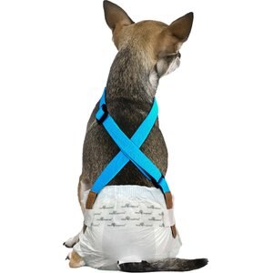 Paw Inspired Dog Diaper Suspenders, Blue, X-Small/Small