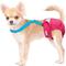 Show in main carousel: Paw Inspired Dog Diaper Suspenders, Blue, X-Small/Small slide 3 of 9
