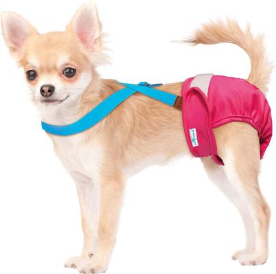 Show full view: Paw Inspired Dog Diaper Suspenders, Blue, X-Small/Small slide 3 of 9