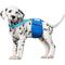 Show in main carousel: Paw Inspired Dog Diaper Suspenders, Blue, X-Small/Small slide 4 of 9