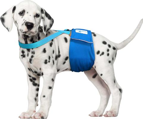 Show full view: Paw Inspired Dog Diaper Suspenders, Blue, X-Small/Small slide 4 of 9