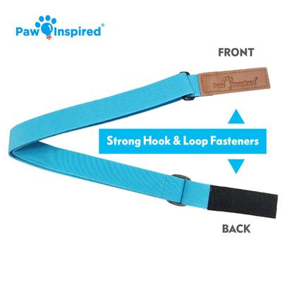 Show full view: Paw Inspired Dog Diaper Suspenders, Blue, X-Small/Small slide 5 of 9