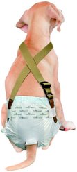 Paw Inspired Dog Diaper Suspenders, Brown, Small/Medium