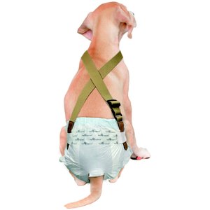 Paw Inspired Dog Diaper Suspenders, Brown, Small/Medium