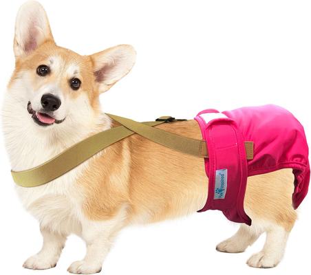 Show full view: Paw Inspired Dog Diaper Suspenders, Brown, Small/Medium slide 3 of 9