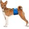 Show in main carousel: Paw Inspired Dog Diaper Suspenders, Brown, Small/Medium slide 4 of 9