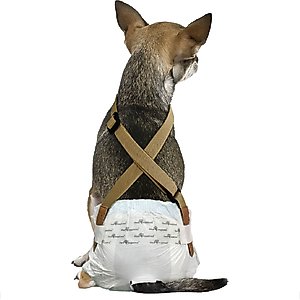 Paw Inspired Dog Diaper Suspenders, Brown, X-Small/Small