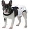 Show in main carousel: Paw Inspired Dog Diaper Suspenders, Medium/Large slide 5 of 11