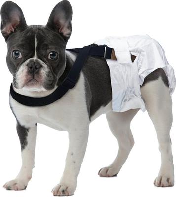 Show full view: Paw Inspired Dog Diaper Suspenders, Medium/Large slide 5 of 11