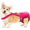 Show in main carousel: Paw Inspired Dog Diaper Suspenders, Pink, Medium/Large slide 3 of 9
