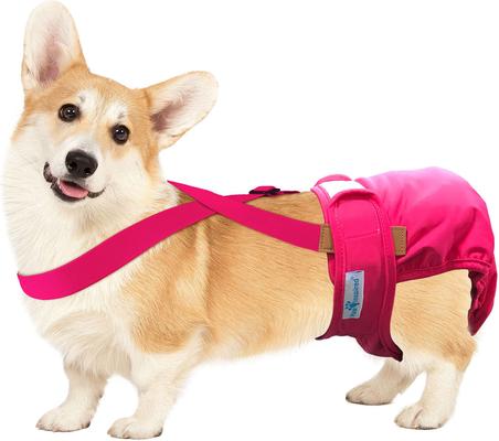 Show full view: Paw Inspired Dog Diaper Suspenders, Pink, Small/Medium slide 3 of 8