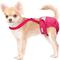 Show in main carousel: Paw Inspired Dog Diaper Suspenders, Pink, X-Small/Small slide 3 of 9