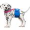 Show in main carousel: Paw Inspired Dog Diaper Suspenders, Pink, X-Small/Small slide 4 of 9