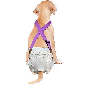 Paw Inspired Dog Diaper Suspenders, Purple, Medium/Large