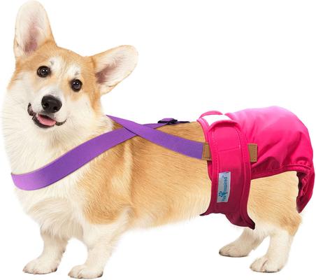 Show full view: Paw Inspired Dog Diaper Suspenders, Purple, Medium/Large slide 4 of 10