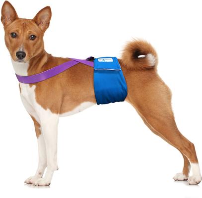 Show full view: Paw Inspired Dog Diaper Suspenders, Purple, Medium/Large slide 5 of 10