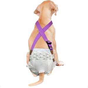 Paw Inspired Dog Diaper Suspenders, Purple, Small/Medium