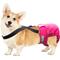 Show in main carousel: Paw Inspired Dog Diaper Suspenders, Small/Medium slide 3 of 11