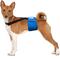 Show in main carousel: Paw Inspired Dog Diaper Suspenders, Small/Medium slide 4 of 11