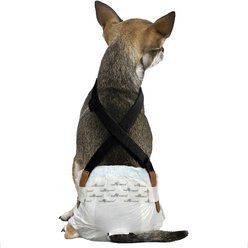 Paw Inspired Dog Diaper Suspenders, X-Small/Small