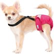 Show in main carousel: Paw Inspired Dog Diaper Suspenders, X-Small/Small slide 3 of 11