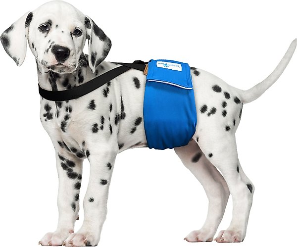 Show full view: Paw Inspired Dog Diaper Suspenders, X-Small/Small slide 4 of 11