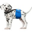 Show in main carousel: Paw Inspired Dog Diaper Suspenders, X-Small/Small slide 4 of 11