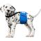 Show in main carousel: Paw Inspired Dog Diaper Suspenders, X-Small/Small slide 4 of 11