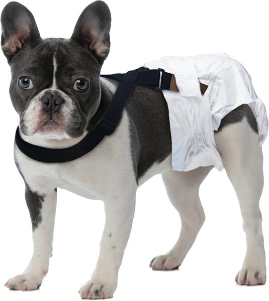 Show full view: Paw Inspired Dog Diaper Suspenders, X-Small/Small slide 5 of 11