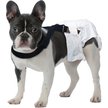 Show in main carousel: Paw Inspired Dog Diaper Suspenders, X-Small/Small slide 5 of 11