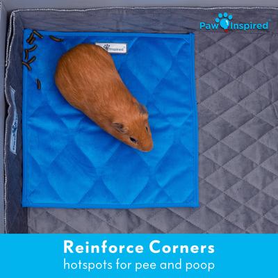 Show full view: Paw Inspired Fleece Cage Liner Small Pet Pee Pads & Bedding, 12x12-in, 3 count, Blue slide 6 of 10