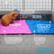 Show in main carousel: Paw Inspired Fleece Cage Liner Small Pet Pee Pads & Bedding, 12x12-in, 3 count, Green slide 3 of 10