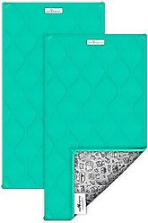 Paw Inspired Guinea Pig Fleece Cage Liners & Bedding, 2 count, Green