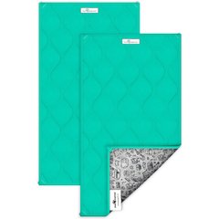 Paw Inspired Guinea Pig Fleece Cage Liners & Bedding, 2 count, Green