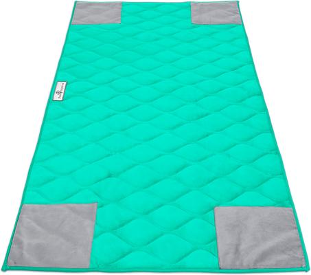 Show full view: Paw Inspired PopCorner Washable Fleece Guinea Pig Cage Liner, C&C 2x4, Green slide 1 of 8