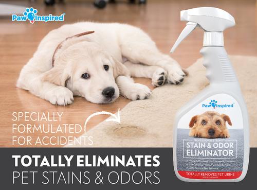 Show full view: Paw Inspired Professional Dog Stain & Odor Eliminator Spray, 32-fl oz bottle slide 3 of 7