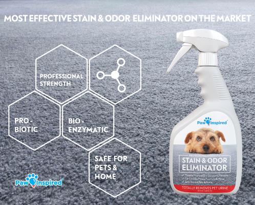 Show full view: Paw Inspired Professional Dog Stain & Odor Eliminator Spray, 32-fl oz bottle slide 4 of 7