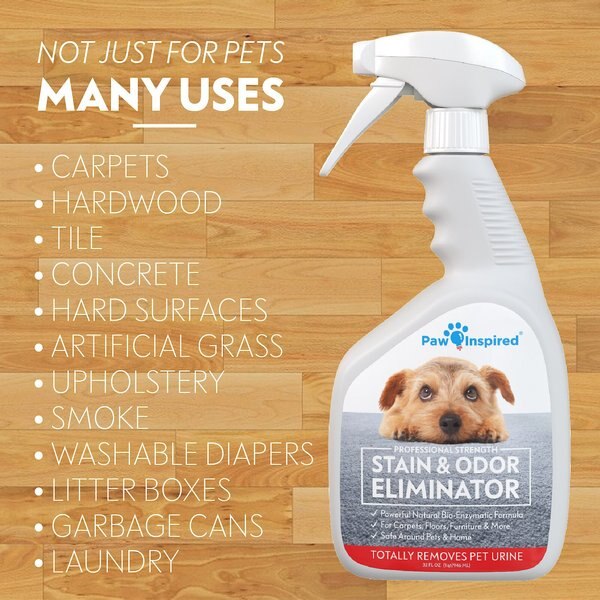 Paw Inspired Professional Dog Stain & Odor Eliminator Spray
