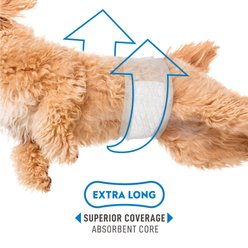 Paw Inspired Select Fit Disposable Belly Band Male Dog Wraps, Large slide 2 of 6