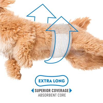 Show full view: Paw Inspired Select Fit Disposable Belly Band Male Dog Wraps, X-Small slide 3 of 8