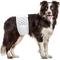 Show in main carousel: Paw Inspired Ultra Protection Disposable Belly Band Male Dog Wraps, Large: 23.5 to 31.5-in waist, 12 count slide 3 of 9