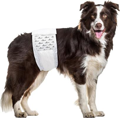 Show full view: Paw Inspired Ultra Protection Disposable Belly Band Male Dog Wraps, Large: 23.5 to 31.5-in waist, 12 count slide 3 of 9