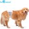 Show in main carousel: Paw Inspired Ultra Protection Disposable Belly Band Male Dog Wraps, Large slide 4 of 9