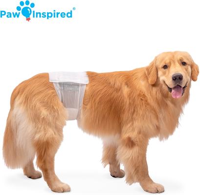 Show full view: Paw Inspired Ultra Protection Disposable Belly Band Male Dog Wraps, Large slide 4 of 9