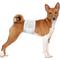 Show in main carousel: Paw Inspired Ultra Protection Disposable Belly Band Male Dog Wraps, Medium: 18 to 23.5-in waist, 12 count slide 3 of 9
