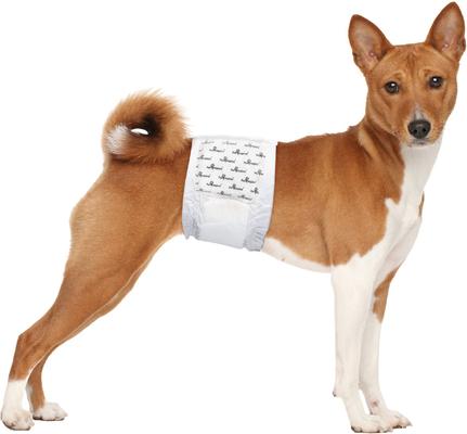 Show full view: Paw Inspired Ultra Protection Disposable Belly Band Male Dog Wraps, Medium: 18 to 23.5-in waist, 12 count slide 3 of 9