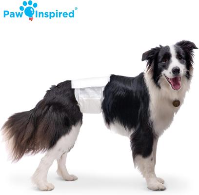 Show full view: Paw Inspired Ultra Protection Disposable Belly Band Male Dog Wraps, Medium slide 3 of 8