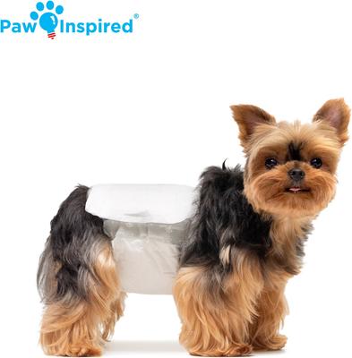 Show full view: Paw Inspired Ultra Protection Disposable Belly Band Male Dog Wraps, X-Small slide 3 of 8