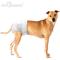 Show in main carousel: Paw Inspired Ultra Protection Disposable Female Dog Diapers, Medium Plus: 16 to 24-in waist, 32 count slide 5 of 12